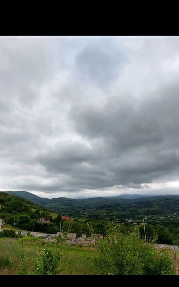 qəbələdə günlük kirayə ev: 14 sot, Tikinti — 8