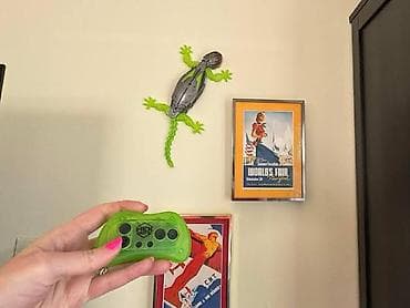 Игрушки: GECKO Climb – divara dırmaşan RC kərtənkələ oyuncağı - Uzaqdan — 2