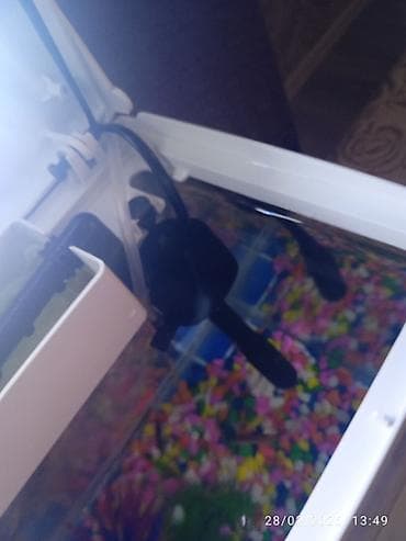 baliq akvarum: LED işıqlı mini akvarium seti - Kompakt ölçülü, şəffaf şüşə korpuslu — 2