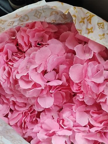 toxunma guller: 650azne alinib 450azn obtavoy satilir. Ayri-ayri xerclenir. Süni — 4