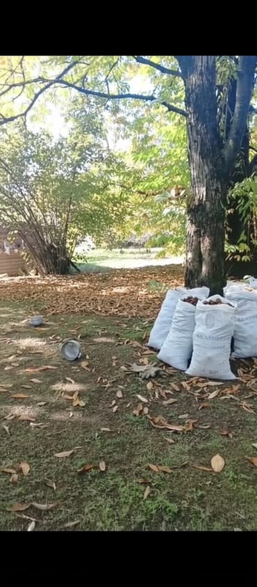 su satisi: Qəbələ rayonu Vəndam kəndi torpaq sahəsi satılır 10 sot qaz işıq su — 1