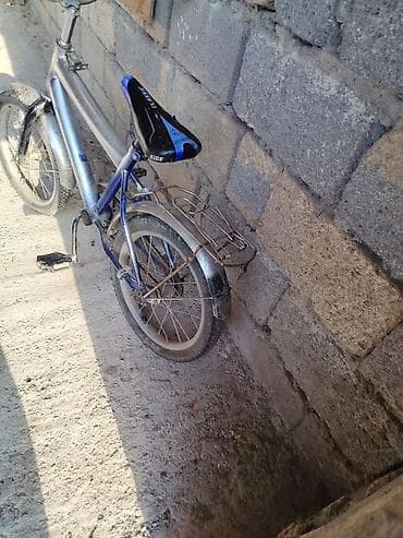 BMX velocipede goy renge krasqalanib verilecek real aliciyaa endirim