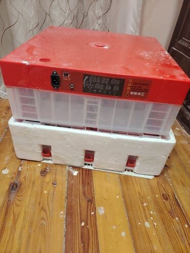 Kodb5939 İnqibatir satilir 300 azn . Tam işləkdi unvan Novxani . Real lalafo.az -da Kodb5939 İnqibatir satilir 300 azn . Tam işləkdi unvan Novxani . Real