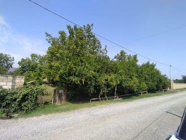 купить недвижимость в баку: 12 sot, Kənd təsərrüfatı, Mülkiyyətçi, Kupça (Çıxarış) — 3