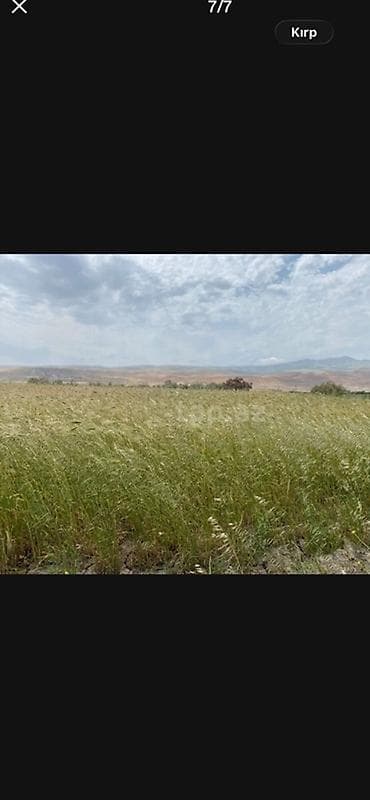 Гаражи: 25 соток, Для сельского хозяйства, Купчая — 1