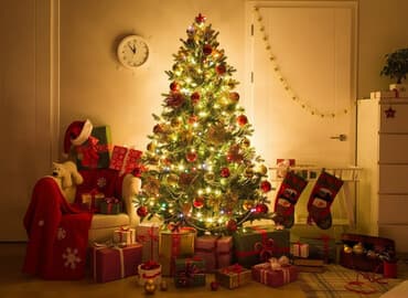 2.10 sm hündürlüyündə kremlevski model yolka satılır, qarlı deyil lalafo.az -da 2.10 sm hündürlüyündə kremlevski model yolka satılır, qarlı deyil