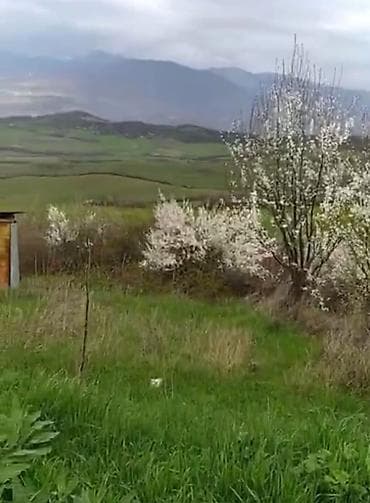 6 sot, Tikinti, Mülkiyyətçi, Kupça (Çıxarış)