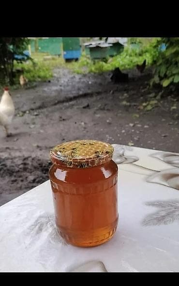 Təbi dağ balı 20 bankadır kimə lazmdısa vatsap aktivdir