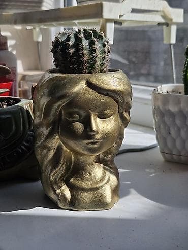 qab gulleri sekilleri: Dekorativ mini dibçəklər və qələm/qutu stendləri dəsti - Retro — 4