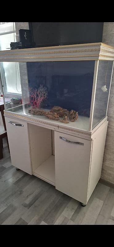 kreditle heyvan satisi: Akvaryum və akvarium avadanlıqları. Tam dəst akvarium sistemi və — 4