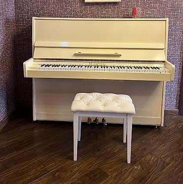 piano elektron: Piano, Belarus, Akustik — 2
