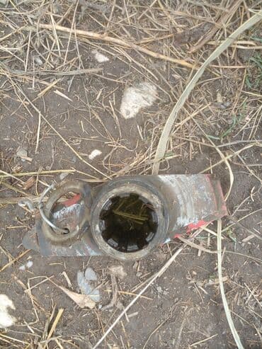 qosqular satisi: Pires bağlayanin hiseleri satilir hamsi birlikde275 azin deyirem — 9