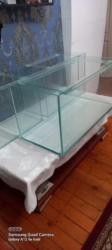 Heyvanlar: Salam 85 litrlik akvarium cəmi 40 azn akvarium təzədi istifadə — 4