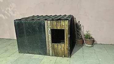 vəşi itlər: Taxta it evi / volyer - Material: ön hissəsi taxta panellər, yan və — 2