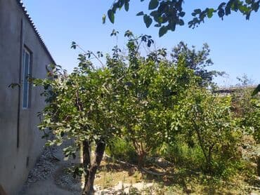 sahil qəsəbəsi evlər: 3 otaqlı, 4 kv. m, Kredit yoxdur, Yeni təmirli — 7