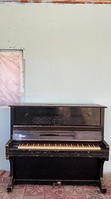 pianolar: Piano, Akustik, İşlənmiş, Ödənişli çatdırılma — 1