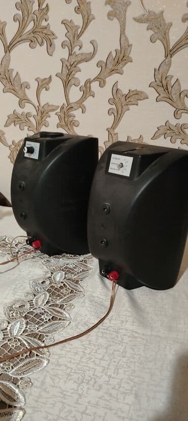 karaoke ses sistemi: Kareoke — 2