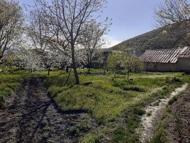 объявления о продаже земельных участков: 10 соток, Для строительства, Собственник, Купчая — 3