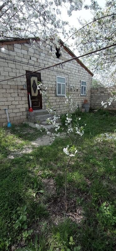 agdas ev: 9 sot, Tikinti, Mülkiyyətçi, Kupça (Çıxarış) — 21