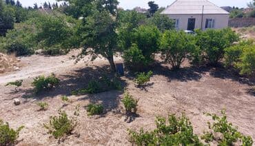 sulutəpə çiçək qəsəbəsi: 12 sot, Tikinti, Maklerlər narahat etməsin, Kupça (Çıxarış) — 2