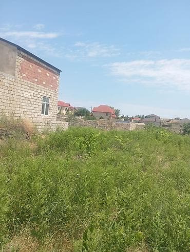 nardaranda: 13 sot, Tikinti, Mülkiyyətçi, Kupça (Çıxarış) — 4