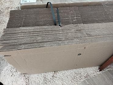 tema sekilleri: 3 ölçü pizza paketleri heresinden 100 dene. 300 dene ümumi. 2 ölçü — 4