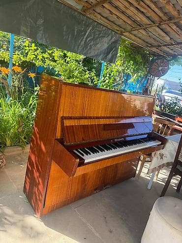 İdman və hobbi: Piano, Belarus, Akustik, İşlənmiş, Ünvandan götürmə, Pulsuz çatdırılma, Ödənişli çatdırılma — 5