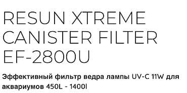 Qızıl balıq, Sülhsevər — 2