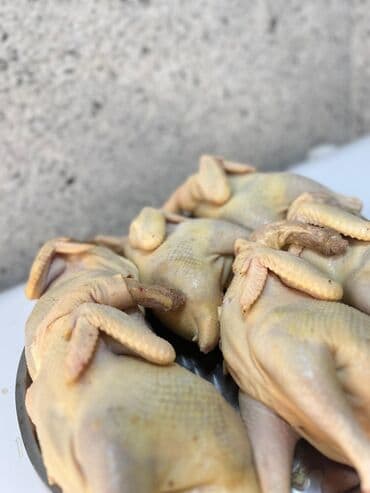 Чай, кофе, напитки: Məhsul: kənd toyuqları (kəsilmiş, təmizlənmiş, bütöv) • Dadlı və — 4