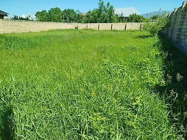 kirayə ev koroğlu: 6 sot, Tikinti, Mülkiyyətçi, Kupça (Çıxarış) — 2