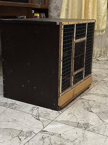 Собаки: Qiymətdə razılaşmağda olar Təzədir siyirməli qəfəsdi böyük quşlar — 5