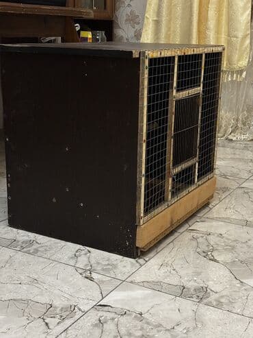 клетки для бойцовых петухов: Təzədir siyirməli qəfəsdi böyük quşlar üçündə çox uyğundu — 2