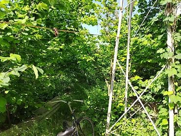 sumqayitda ucuz torpaq satilir: 3 otaqlı, 156 kv. m, Kredit yoxdur, Yeni təmirli — 5