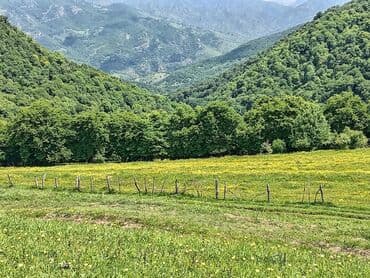 bakı tikiş evi əlaqə nömrəsi: 50 sot, Mülkiyyətçi, Kupça (Çıxarış) — 4