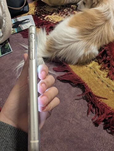 selenium sulfide 2.5 шампунь отзывы: IPhone 11 Gəncə ideal Gəncə də belə ideal telefon yoxdur ZAVOD✅ — 3