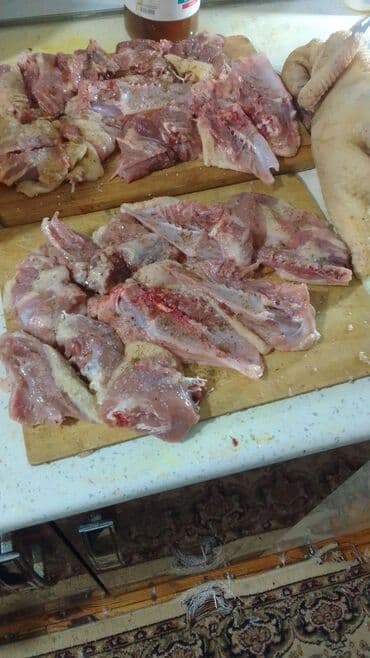 ingilis setteri it cinsinin digər adı nədi: Məhsul: Lal ördək (Muscovy) – damazlıq quşlar, balalar və kəsilmiş ət — 10