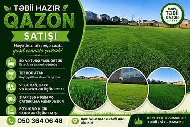 Təbii hazır qazon – həyətinizi bir neçə saata yaşıl cənnətə çevirən