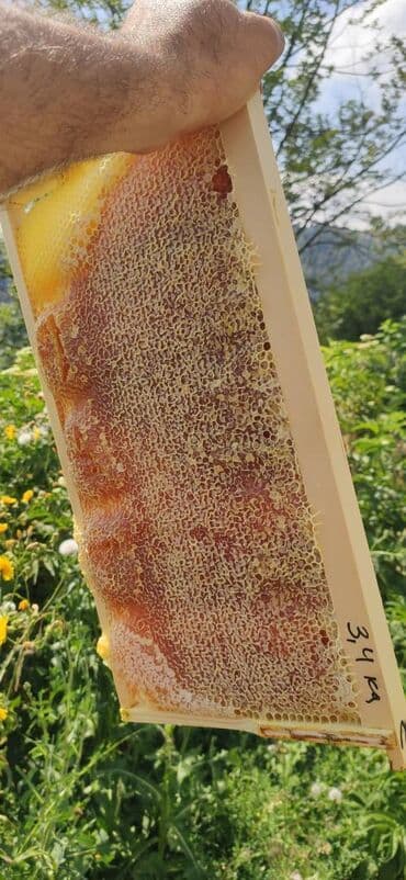 продается мед: ELF BEE'S 1977 ECO-PRODUCT FOR HEALTH AND LONGEVITY Tovuzun — 22