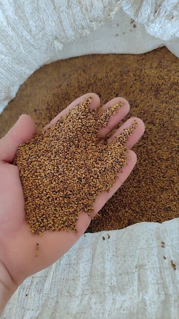 çiya toxumu ile ariqlamaq: Məhsul: Yonca (alfalfa) toxumu Təsvir: - Xırda dənəli, sarı-qəhvəyi — 2