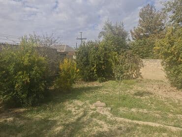 аренда земельных участков сельскохозяйственного назначения: 5 sot, Kənd təsərrüfatı, Texniki pasport — 1