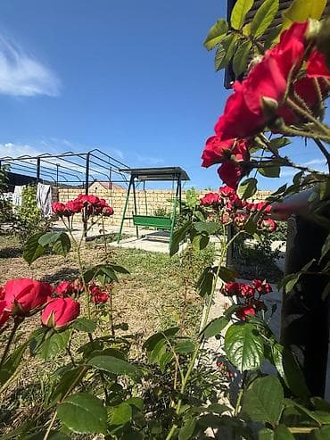 ev elanlari 2018: Bağ evi — rahat istirahət üçün tam təchizatlı həyət və daxili məkan — 1