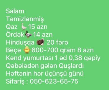 Salam Qaz Ördək Hiduşka Beçə yanı çolpa Kənd yumurtası Qatıq Süd
