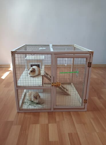 Salam Quş üçün, Cunqarik üçün, Dovşan üçün, Siçan üçün, Xomyak üçün — 4