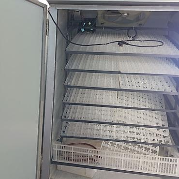 inkubator satisi: 1100 yumurta, Çin, Tam avtomat — 1