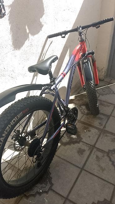 ağdaş yemi: Məhsul: Dalmatin/xallı rəng çalarlarında australian bülbülləri — 4