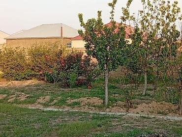 merdekan evler: Tikinti, Kupça (Çıxarış) — 6