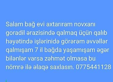 restoran isi: Xidmət: Bağ evi və həyət işlərinə baxıcı Təsvir: - Novxanı və ya — 1