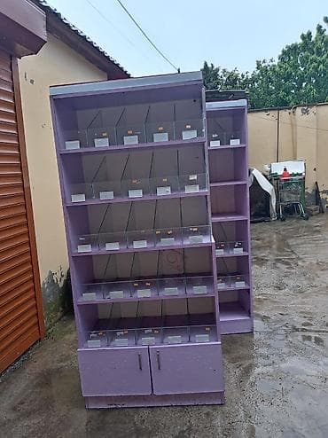 Mağaza üçün vitrin-stend dəsti - Material: MDF/taxta konstruksiya