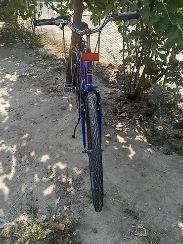 velosipedler 24: Vesbet kamir patska teze alif qomsam hec bir prablem yoxdu skrosnodu — 4