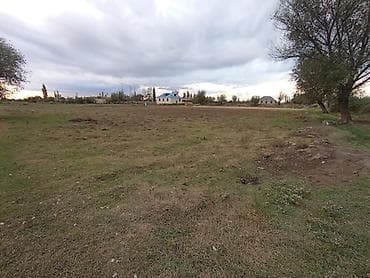 ecemide kiraye evler 2025: 35 sot, Biznes üçün, Mülkiyyətçi, Kupça (Çıxarış) — 4